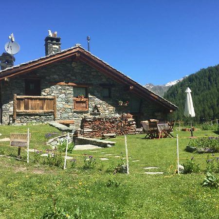 Chalet Gorret Cheneil Valtournenche Exteriér fotografie